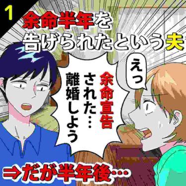 【#1】余命半年を告げられたという夫「離婚しよう…」⇒だが半年後…